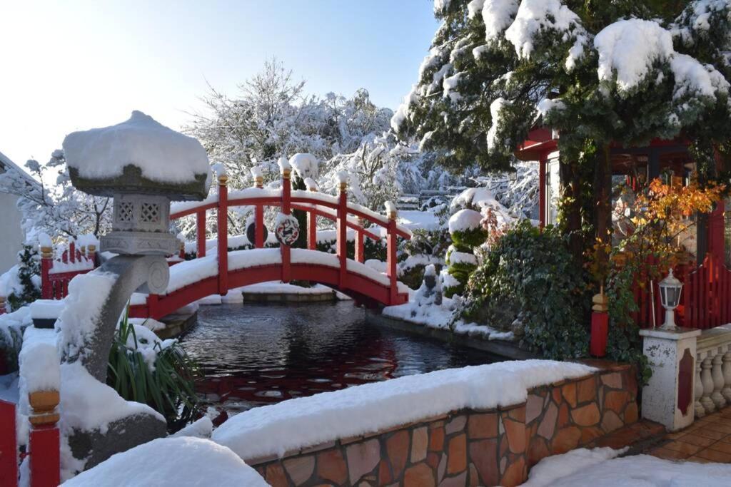 Gite Au Printemps Japonais, Petit Train De La Mure, Parc Des Ecrins Pierre-Chatel Экстерьер фото