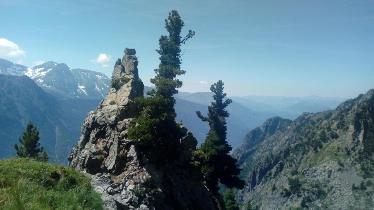 Gite Au Printemps Japonais, Petit Train De La Mure, Parc Des Ecrins Pierre-Chatel Экстерьер фото