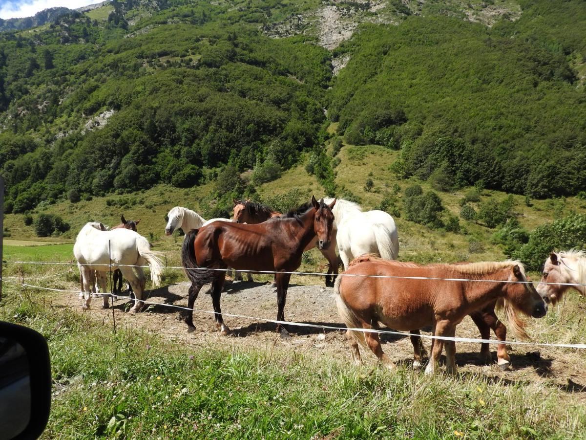 Gite Au Printemps Japonais, Petit Train De La Mure, Parc Des Ecrins Pierre-Chatel Экстерьер фото